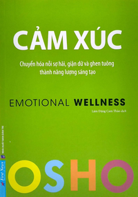 Cảm xúc - Chuyển hóa nỗi sợ hãi, giận dữ và ghen tuông thành năng lượng sáng tạo